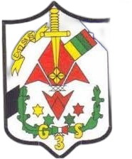 Escudo Grupo 3 Saltillo